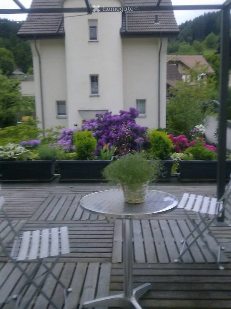 Grosszügige, helle 2.5 Zimmerwohnung mit grosser Terrasse (3)