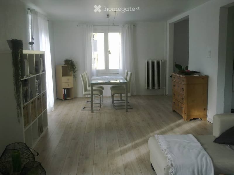 Grosszügige, helle 2.5 Zimmerwohnung mit grosser Terrasse (2)