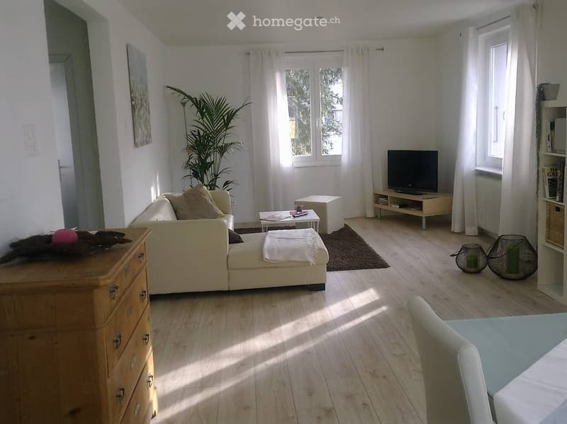 Grosszügige, helle 2.5 Zimmerwohnung mit grosser Terrasse (1)
