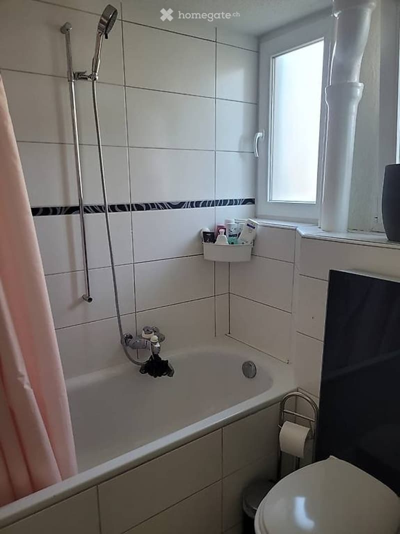 Grosszügige, helle 2.5 Zimmerwohnung mit grosser Terrasse (4)