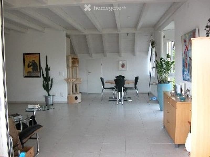4.5 Zimmer Dachwohnung mit Büro (4)