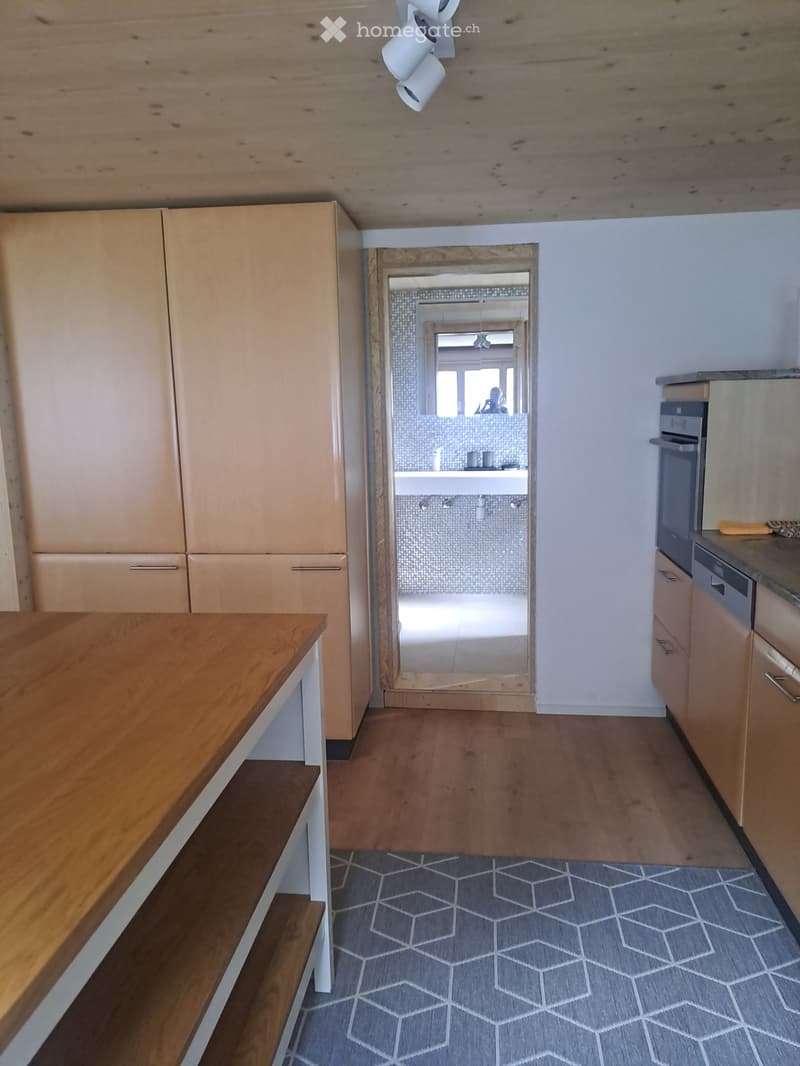Frisch renovierte sonnige Wohnung mit Charme (3)