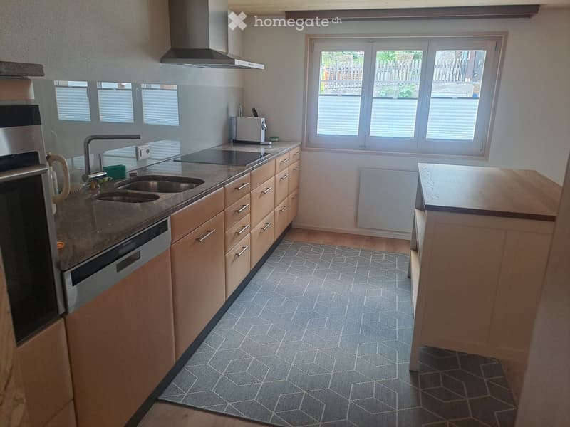 Frisch renovierte sonnige Wohnung mit Charme (4)