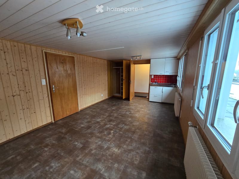 Gemütliches 1-Zimmer-Studio / in Reichenbach im Kandertal (3)