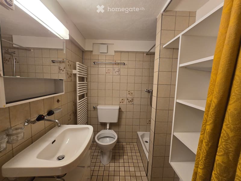 Gemütliches 1-Zimmer-Studio / in Reichenbach im Kandertal (1)