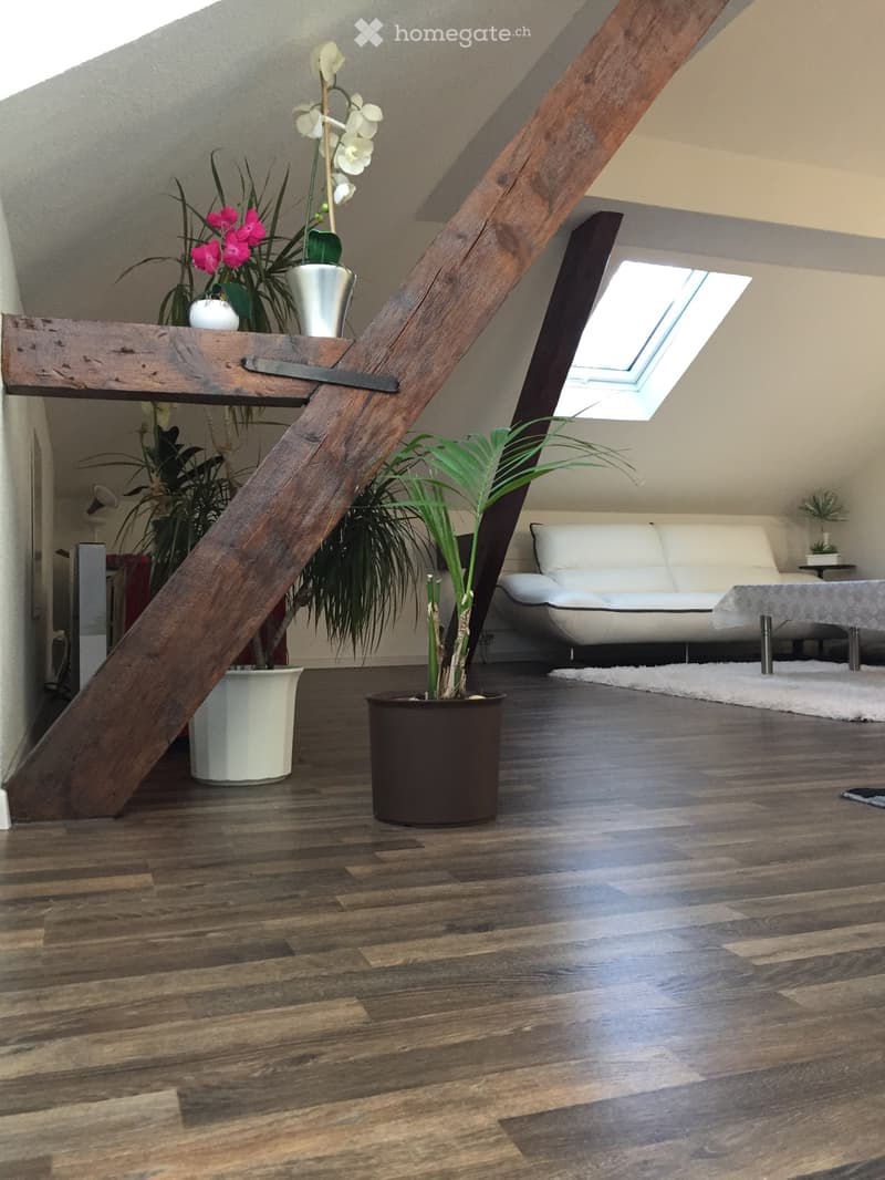 Magnifique appartement 3,5 pcs à Tavannes (3)