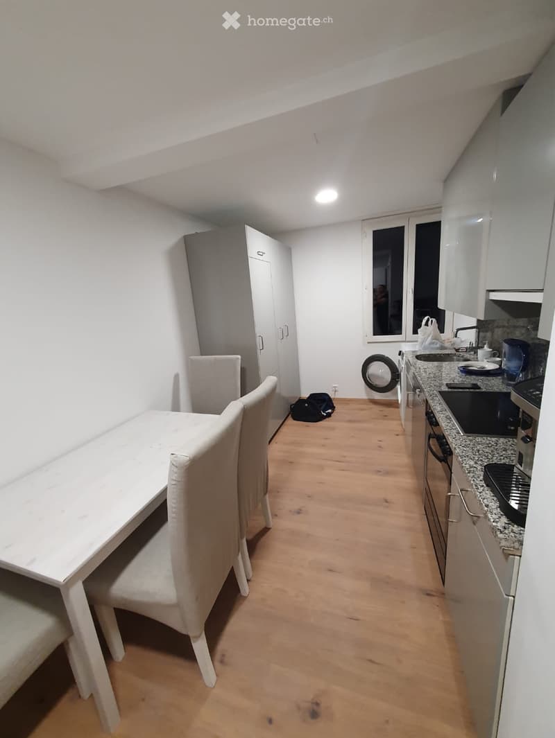 Möblierte 2.5-Zimmer-Wohnung in Zwillikon (2. Stock) (3)