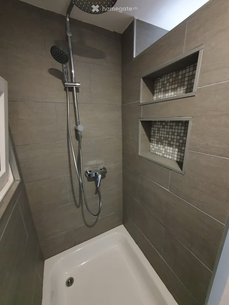 Möblierte 2.5-Zimmer-Wohnung in Zwillikon (2. Stock) (5)