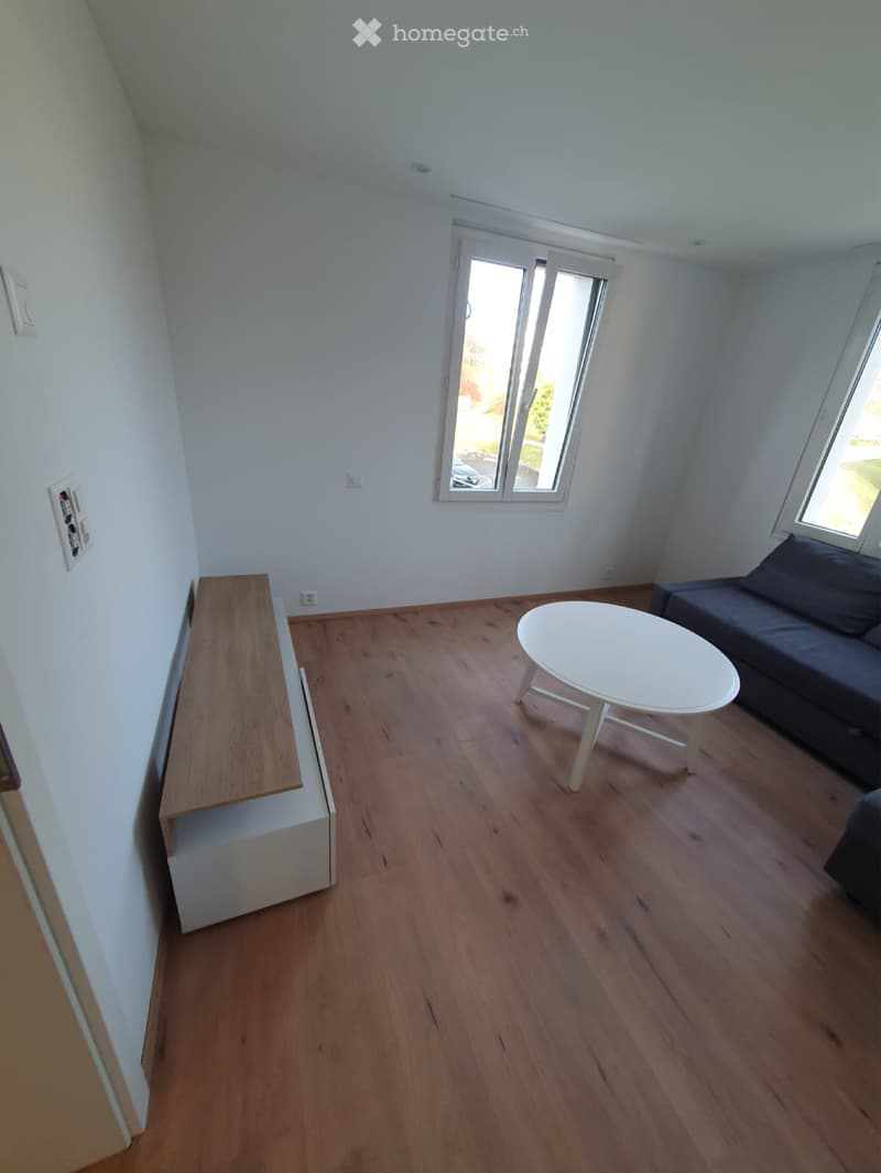Möblierte 2.5-Zimmer-Wohnung in Zwillikon (2. Stock) (1)