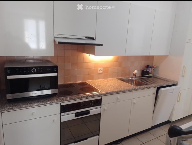 Subentro per appartamento 4.5 Locarno (2)