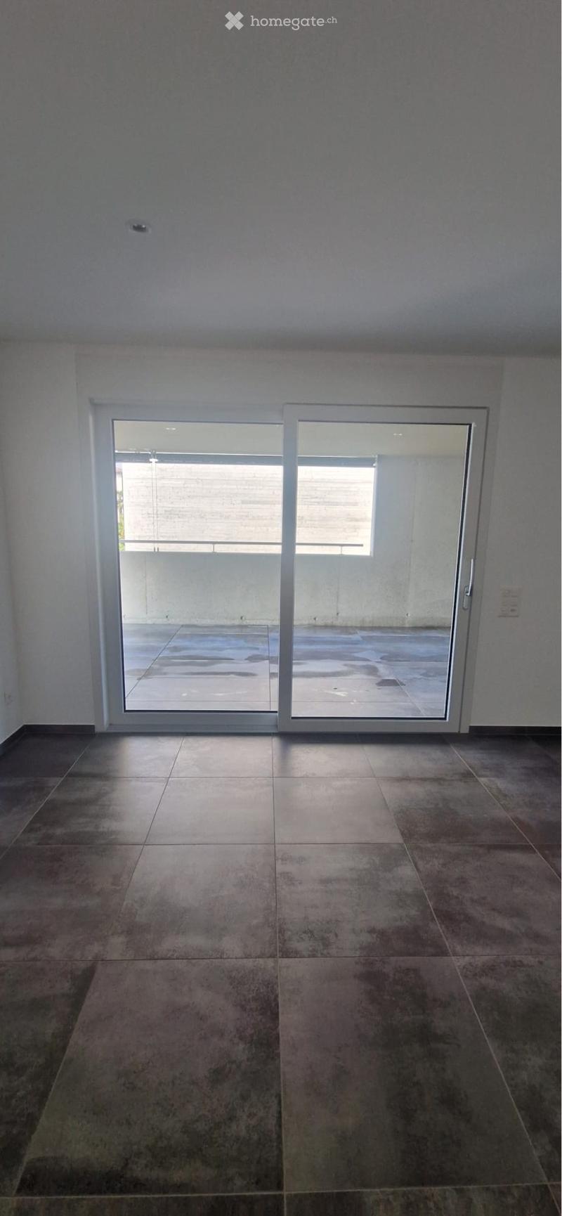 Splendido 2 1/2 locali con ampia terrazza coperta (4)