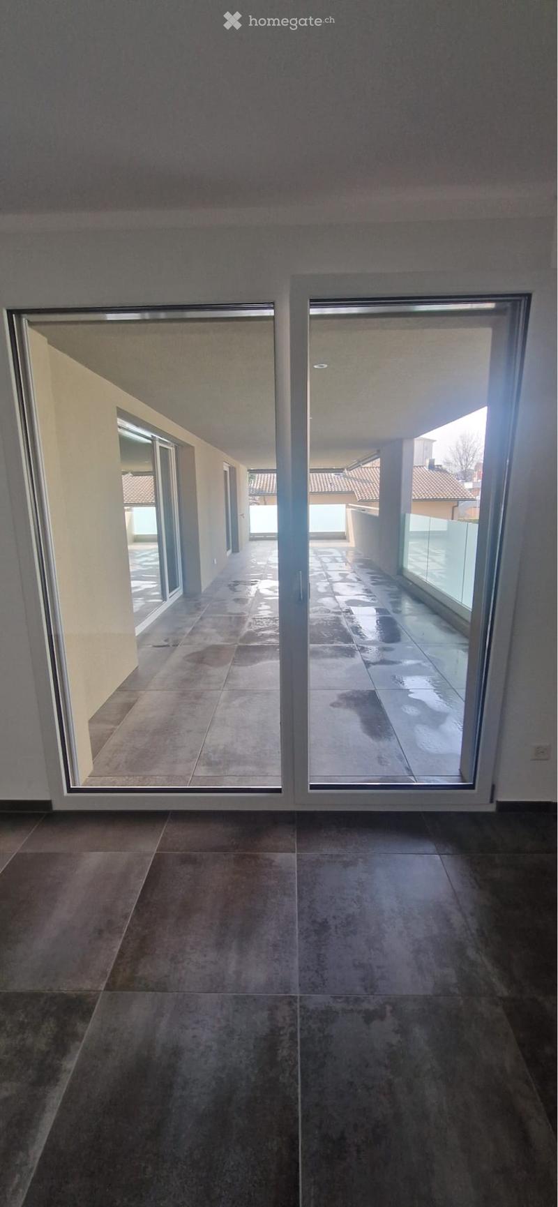 Splendido 2 1/2 locali con ampia terrazza coperta (3)