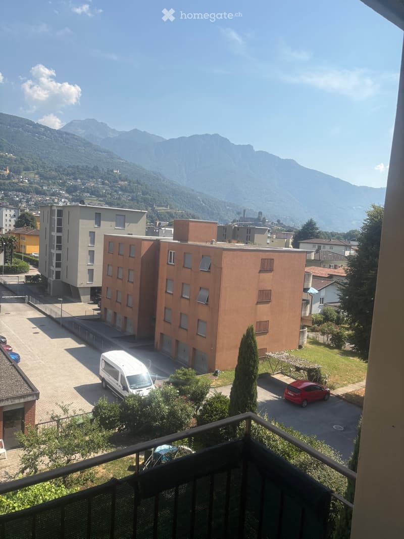 Cerco subentrante dal 1 novembre (4)