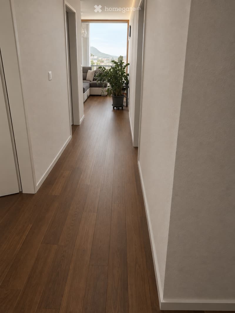 Moderne 4.5-Zimmer-Attikawohnung  Nachmieter gesucht (2)