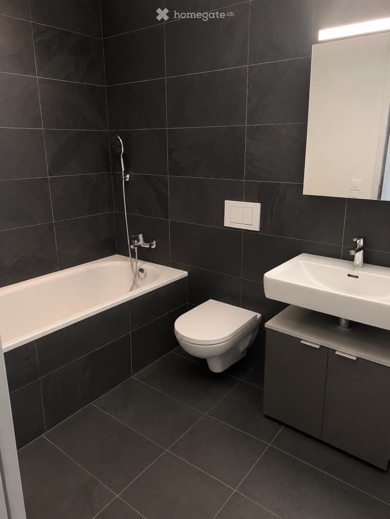 Moderne 4.5-Zimmer-Attikawohnung  Nachmieter gesucht (5)