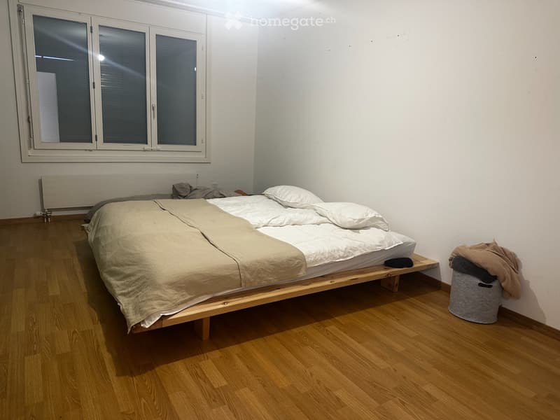 WG Zimmer: grosse zentrale ruhige Attikawohnung mit Seeblick (3)