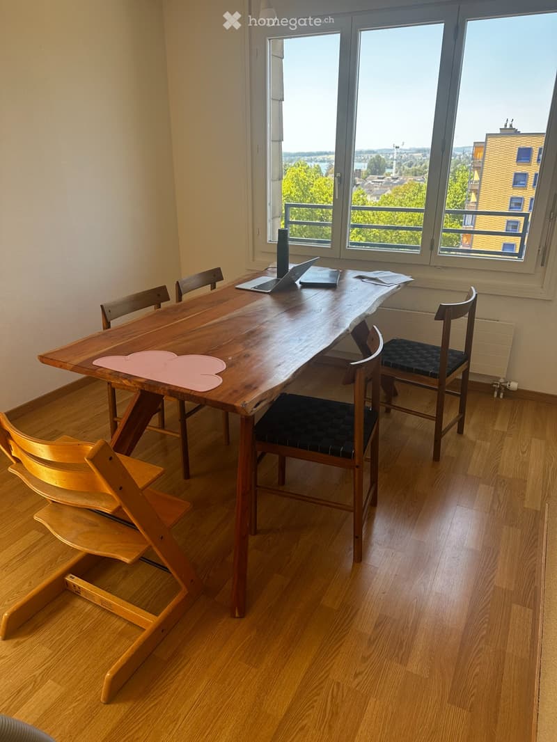 WG Zimmer: grosse zentrale ruhige Attikawohnung mit Seeblick (2)