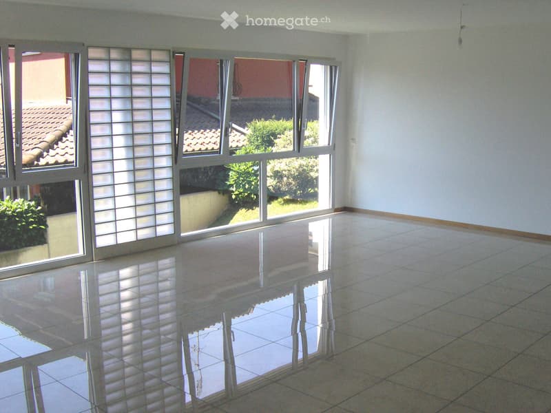 Massagno affittasi appartamento (1)