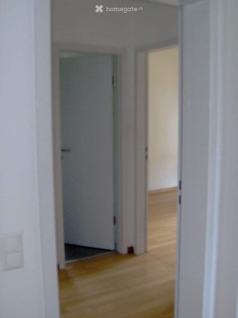 Massagno affittasi appartamento (3)