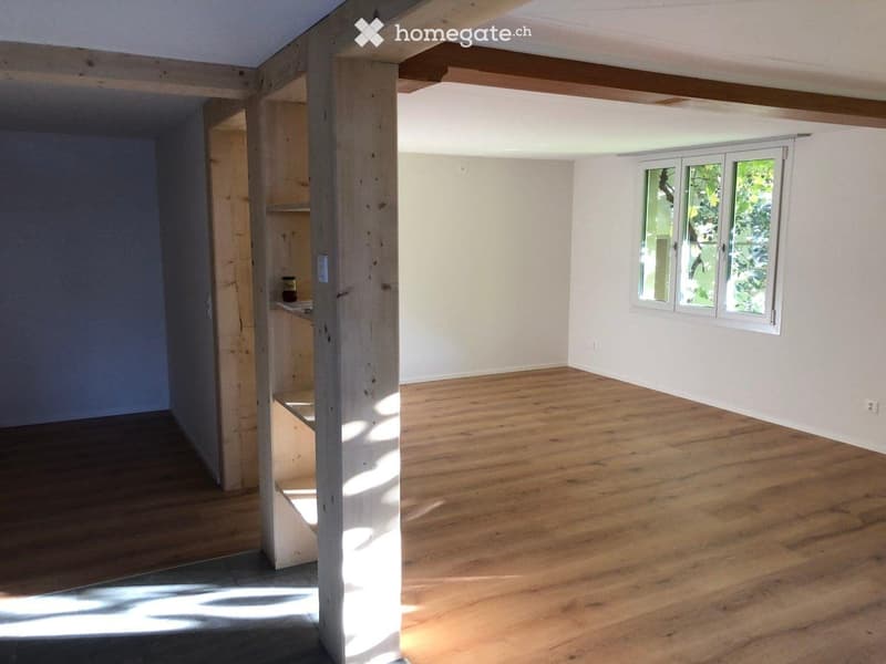 Nachmieter gesucht für charmante 5.5 Maisonettewohnung (1)