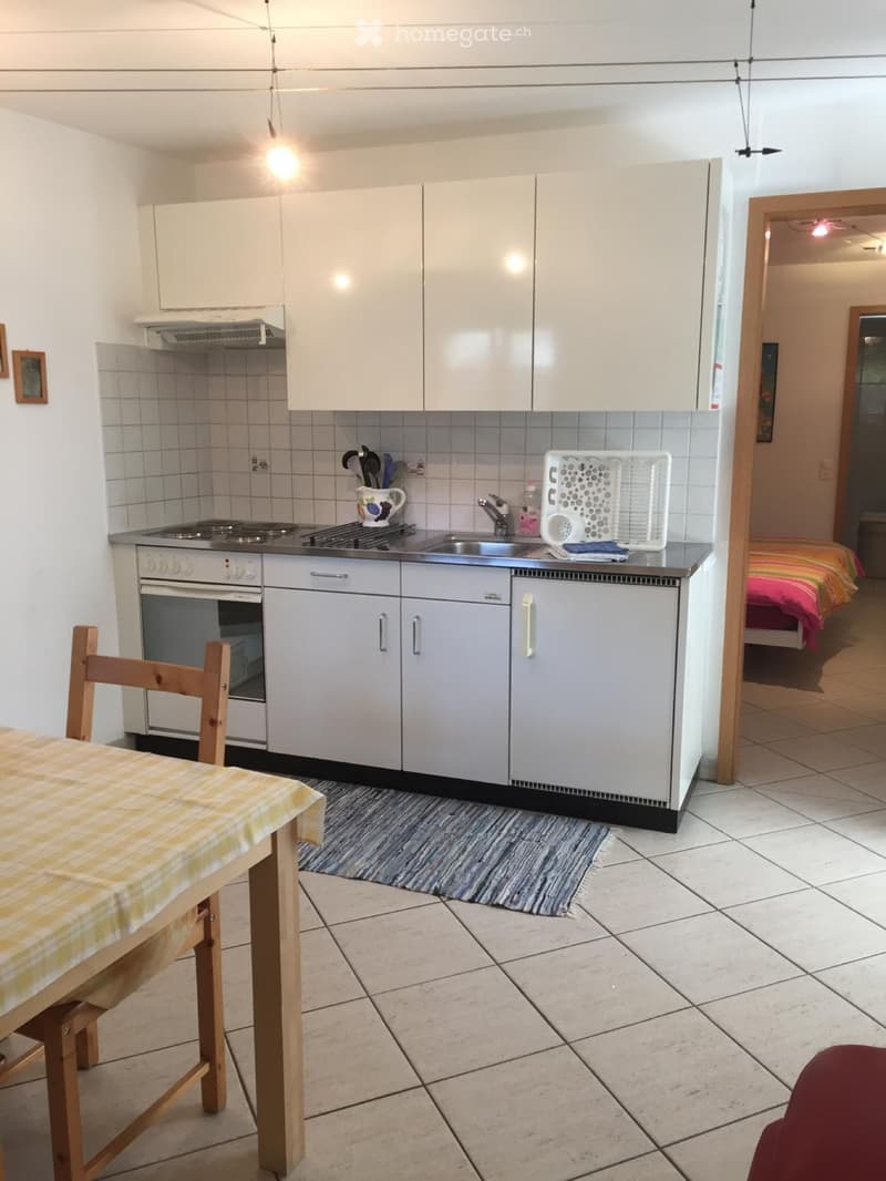 Appartamento Maggia (2)