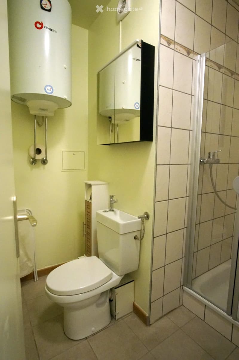 Bel appartement 2,5 pièces meublé/équipé à louer au Locle (4)