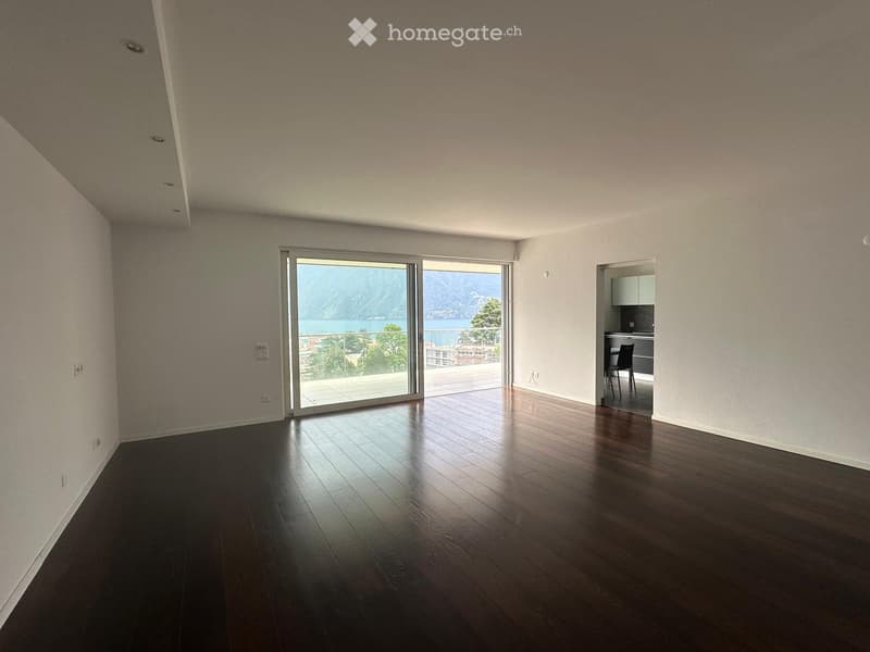 Subentrante per appartamento a Lugano centro con vista lago (2)