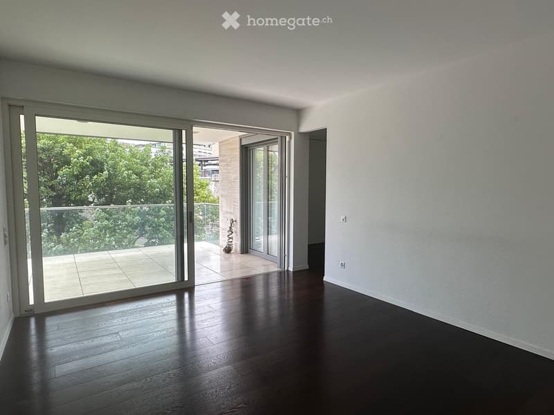 Subentrante per appartamento a Lugano centro con vista lago (3)