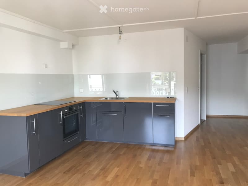 Sonnige, schöne und ruhige 2 1/2 Zi Whg (2)