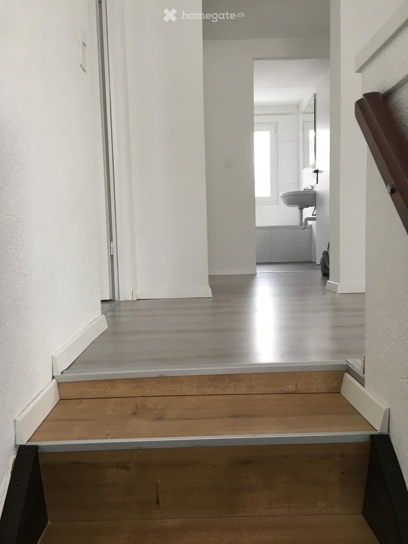 Attraktive 3.5 Zimer Dachwohnung (3)