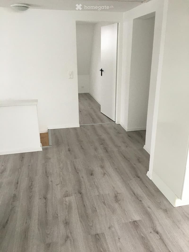 Attraktive 3.5 Zimer Dachwohnung (5)