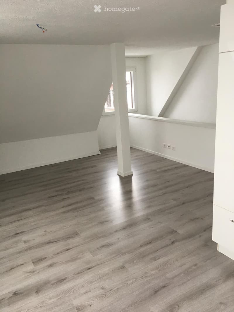 Attraktive 3.5 Zimer Dachwohnung (4)