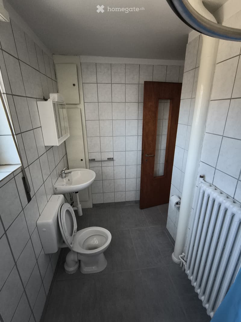 2 Zimmer Wohnung im Neubadquartier (4)