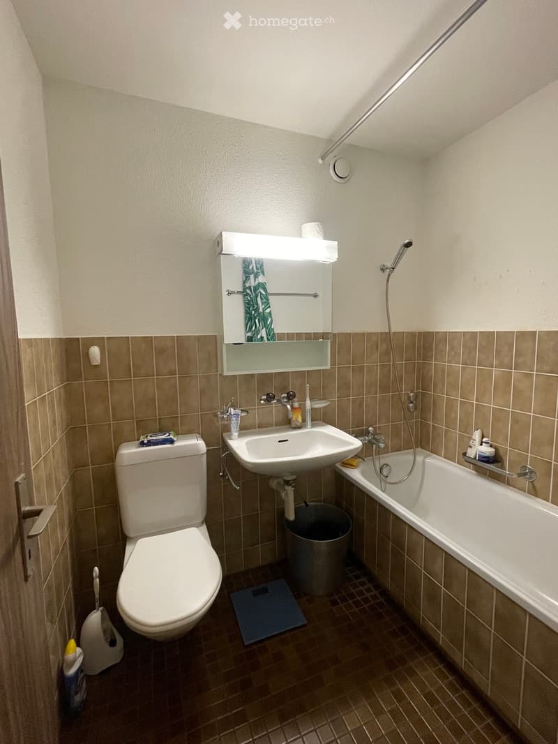 Zu vermieten 1.5 Zimmer Wohnung (4)