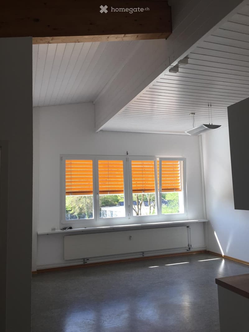 Charmante 2-Zimmer-Wohnung mit hohen Räumen in Gelterkinden (2)