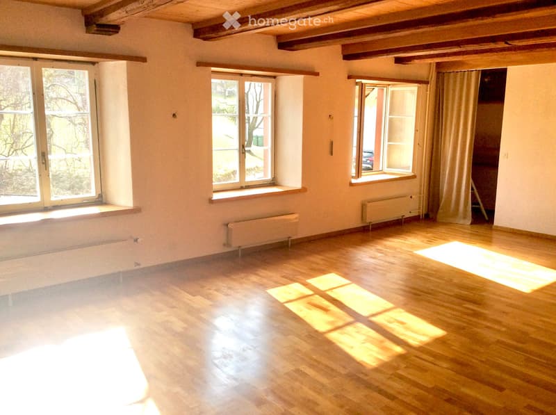 Grosse, sonnige Altbauwohnung mit Kachelofen (2)