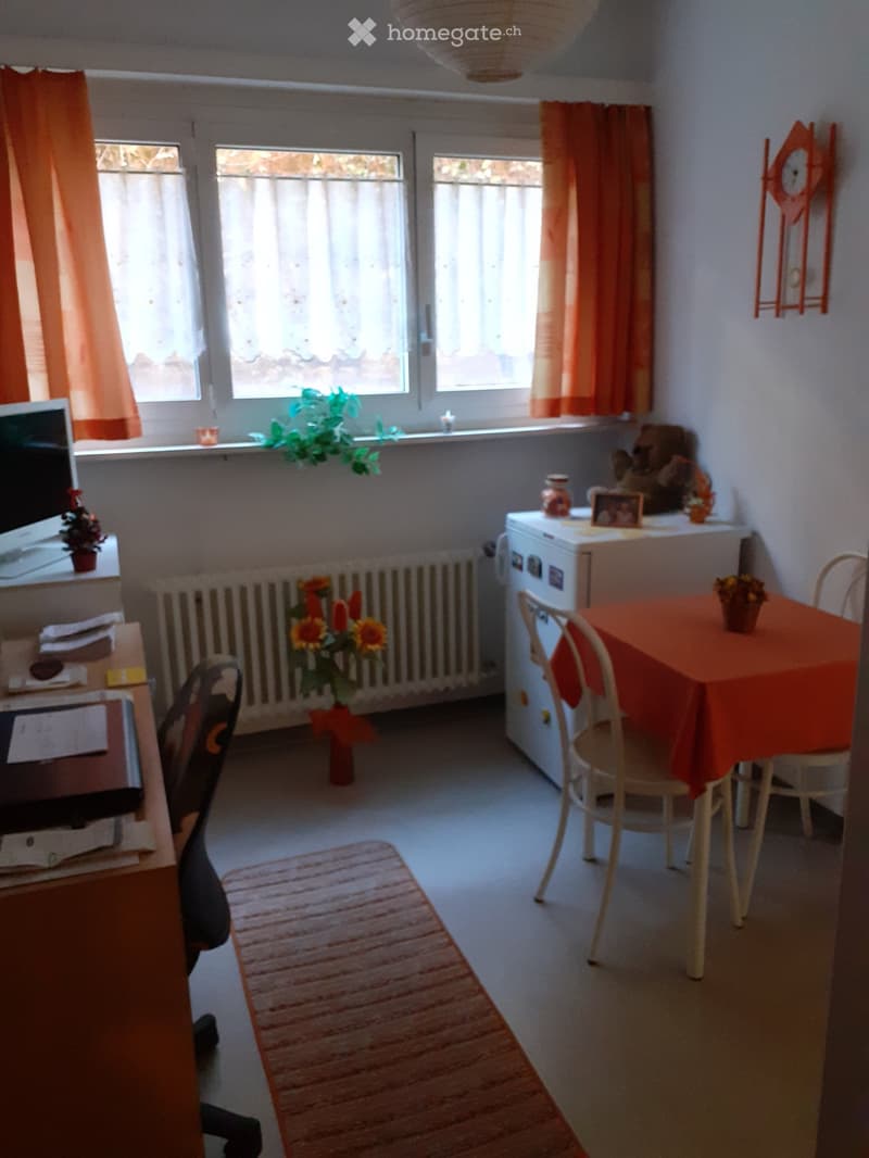 Grazioso e luminoso appartamento 2.5 a Vezia (5)