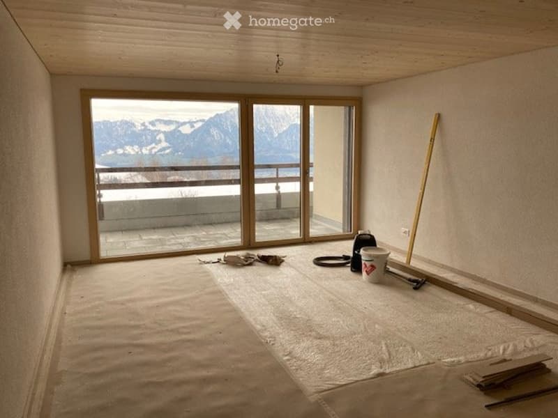 Hochwertige 2.5 Zimmer Wohnung (3)