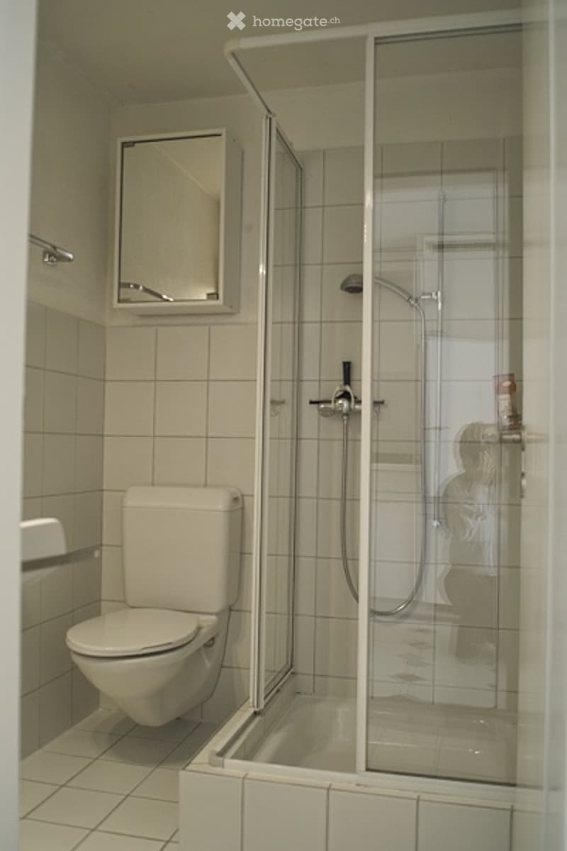 Möbliertes Studio zwischen Chur/Lenzerheide inkl. Sitzplatz (2)