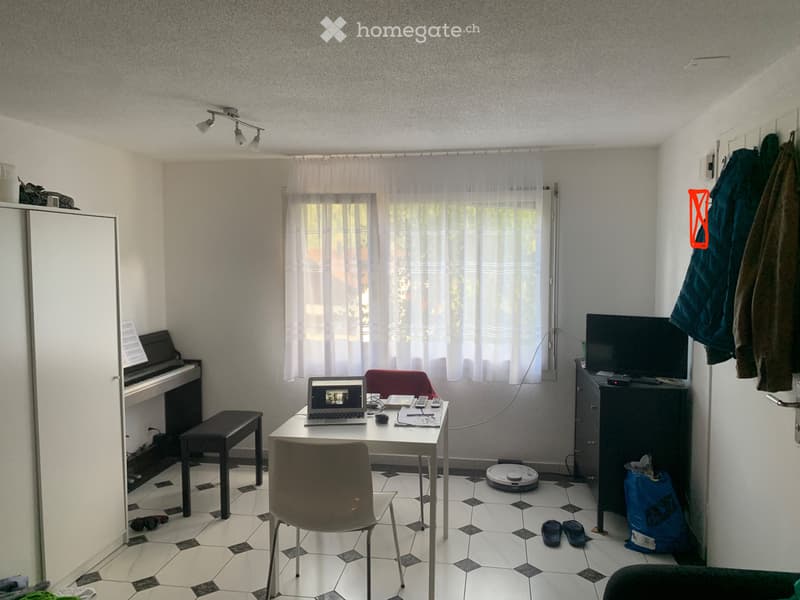 Möbliertes Studio zwischen Chur/Lenzerheide inkl. Sitzplatz (5)