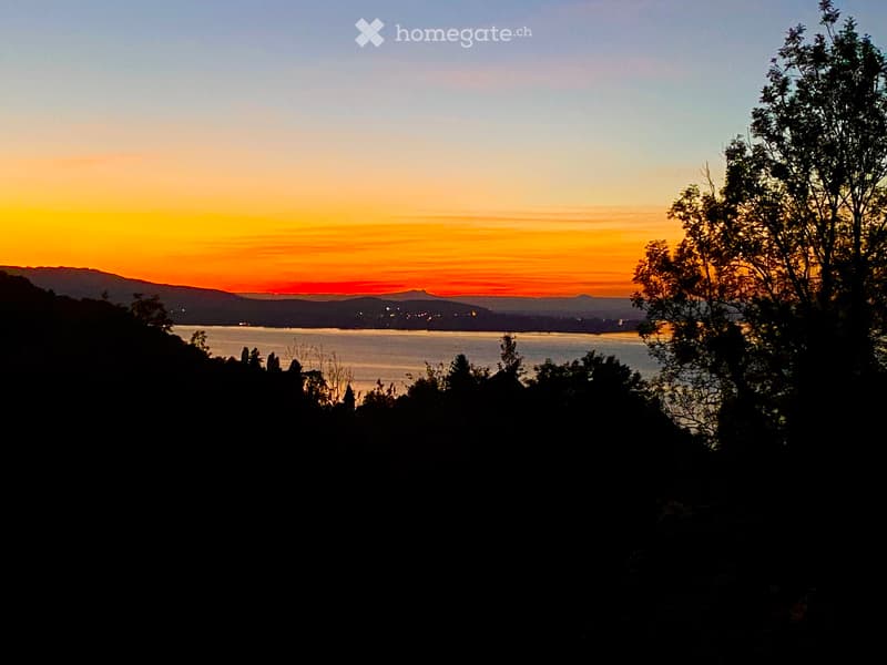 Nachmieter für Haushälfte mit beidseitigem Seeblick (1)