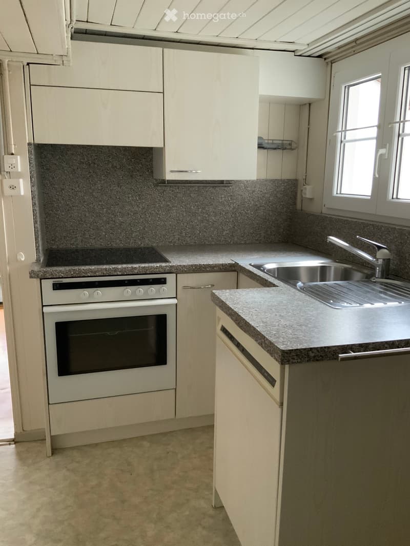 3 Zi. Altbauwohnung (2)