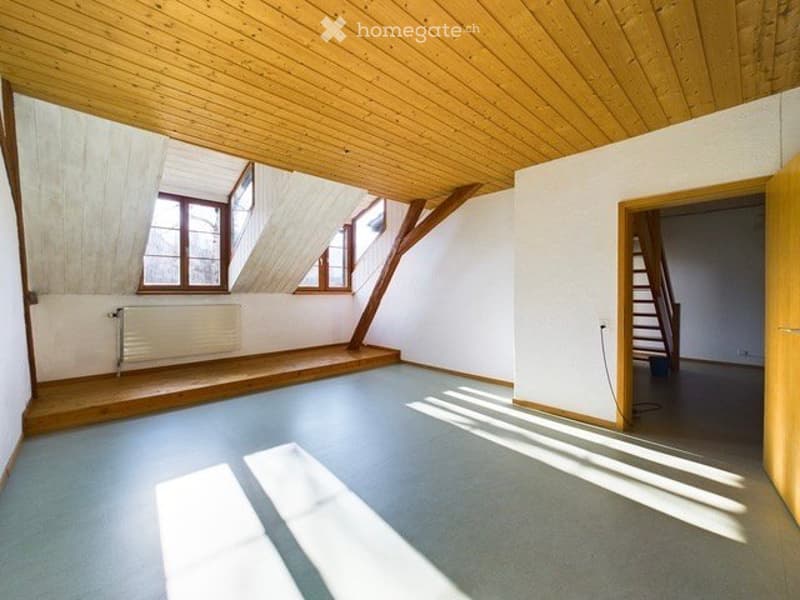 Einmalig schöne und helle Dachwohnung im Bauernhaus (1)