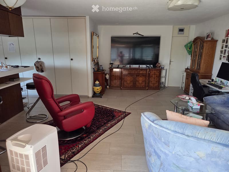 3 Z. Atika Wohnung wird für 5 Monate vermietet (4)