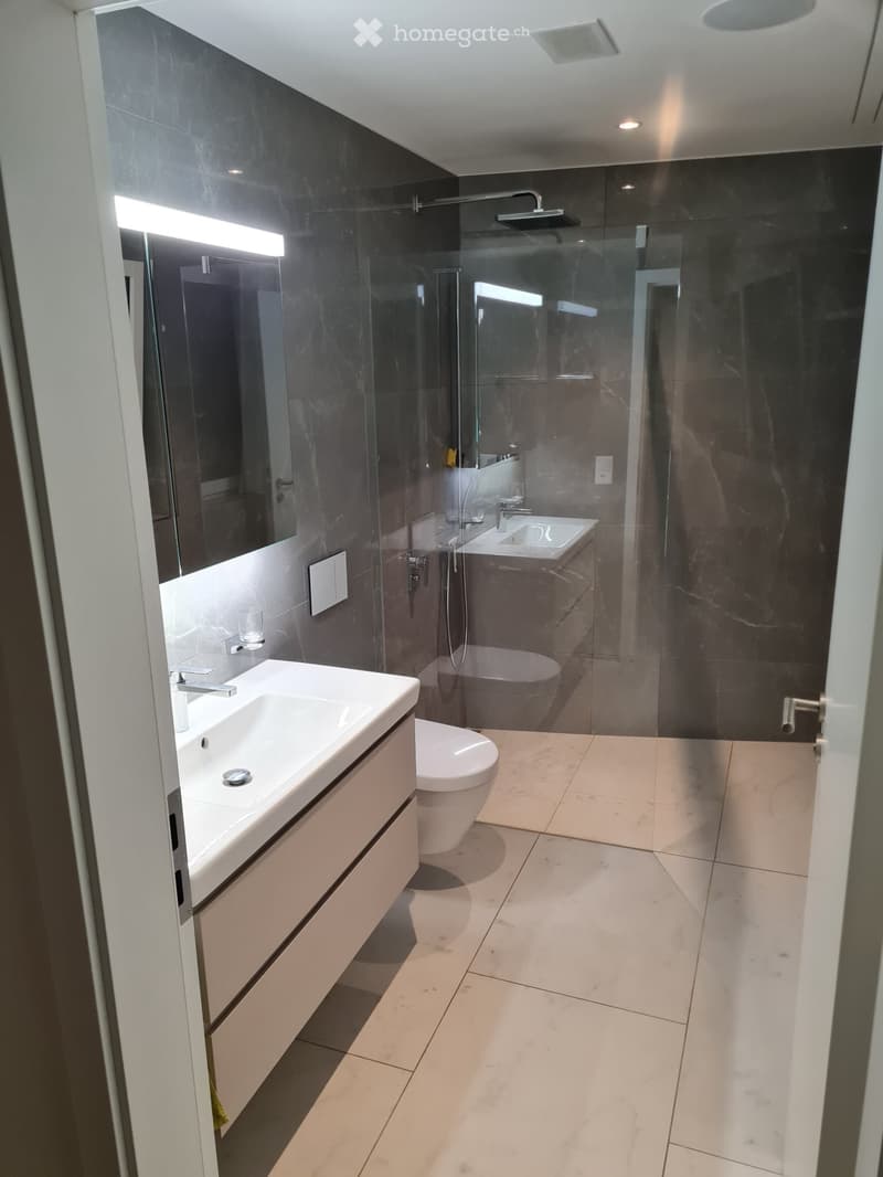 WG-Zimmer in Berikon Studio mit eigenem Bad, 1. Monat gratis (2)