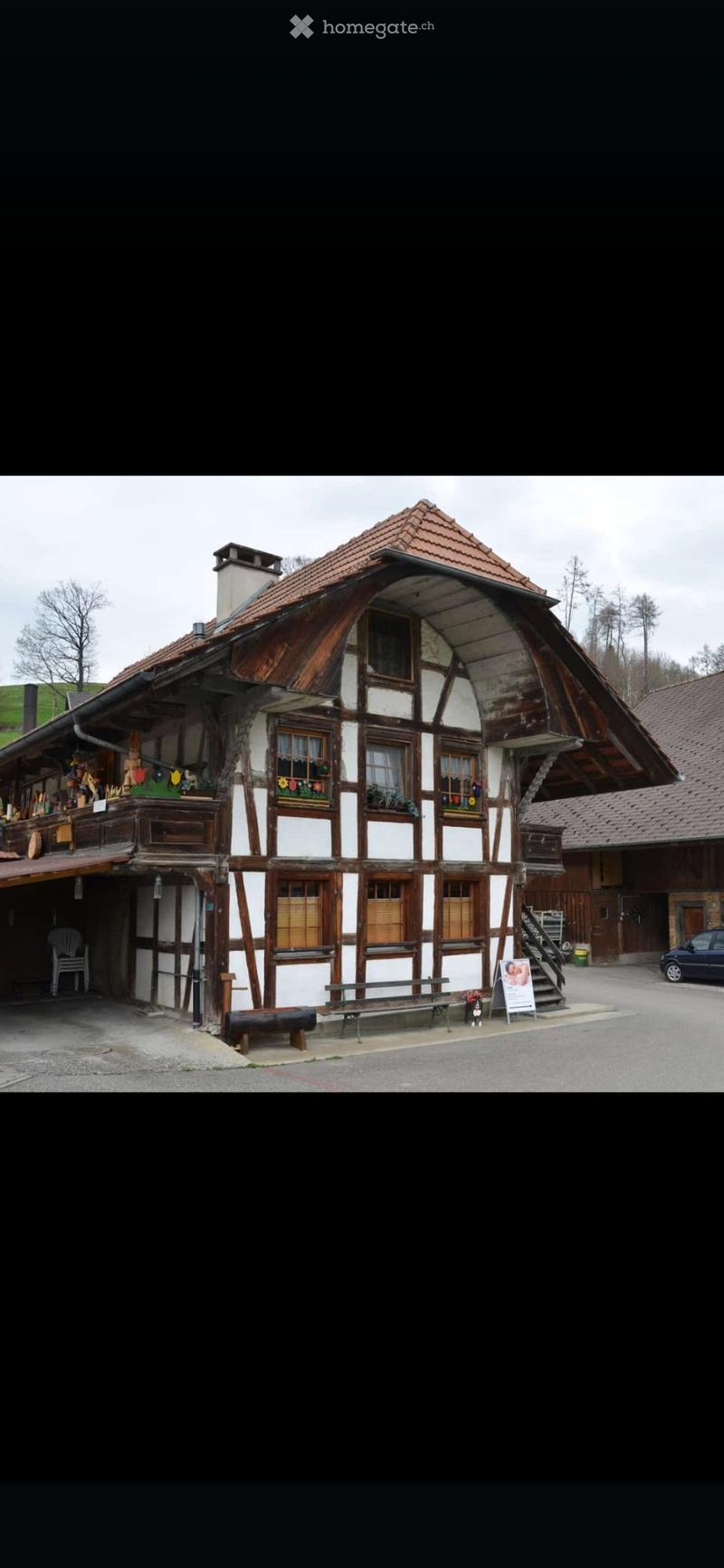 Studiowohnung (Parterre) (1)