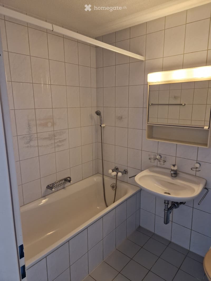 Studiowohnung in Menziken (2)