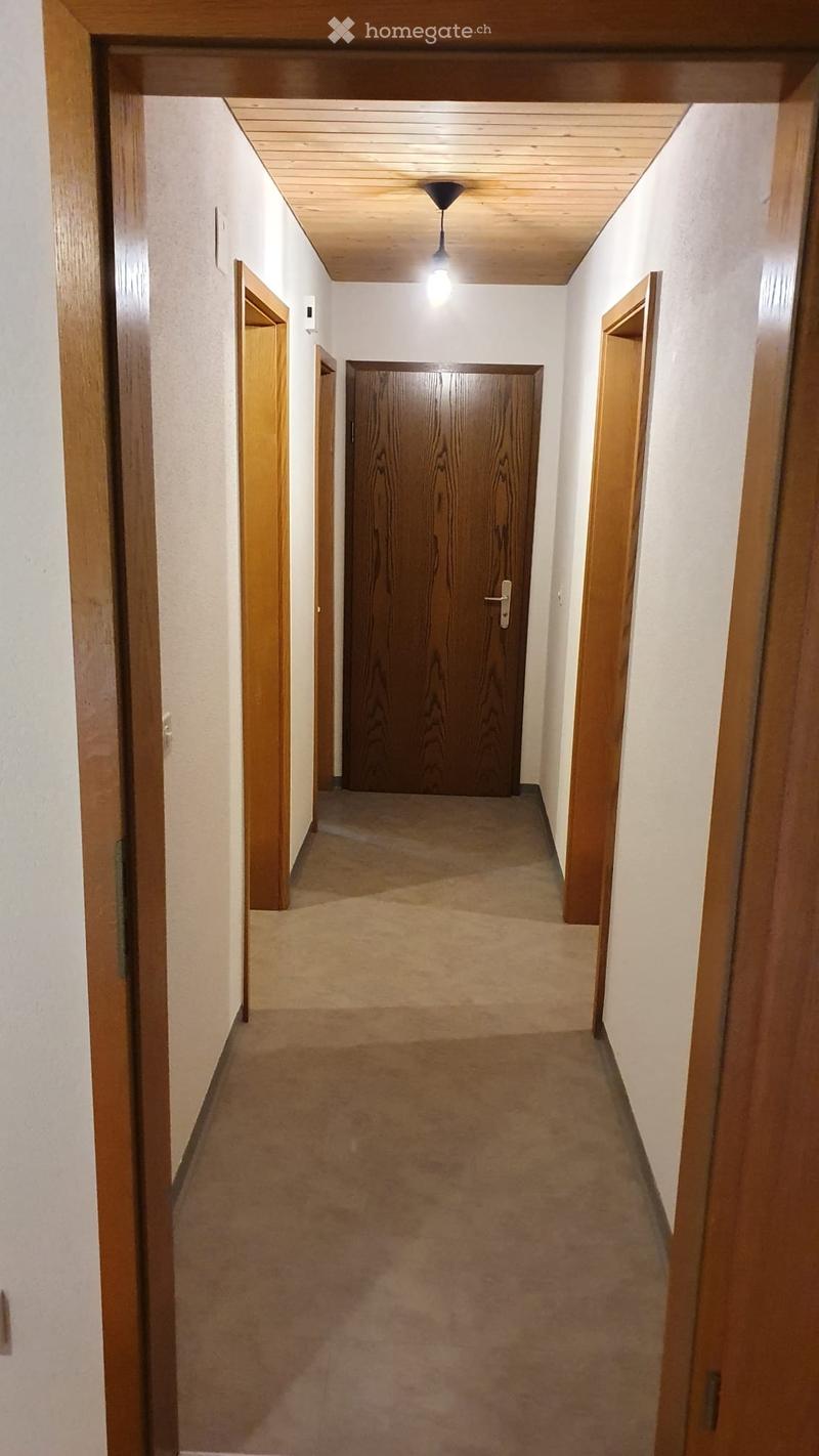 3.5 Zi Whg nahe Stadt Schaffhausen (3)