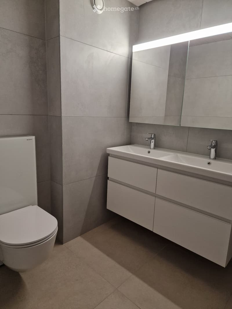 Schöne 5,5- Zimmerwohnung zu vermieten (4)