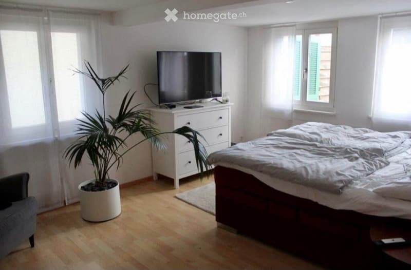 suche Nachmieter für 3,5 Zi. EG Wohnung in Horn TG (1)